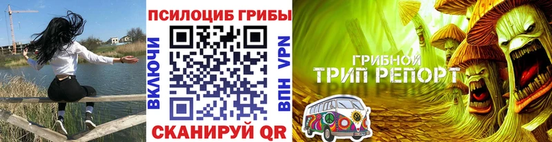 купить  сайты  Донецк  Галлюциногенные грибы мицелий 