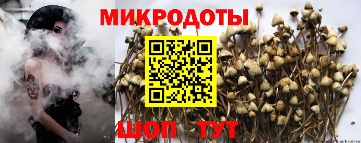 Псилоцибиновые грибы MAGIC MUSHROOMS  цена   Донецк  Вход с VPN 